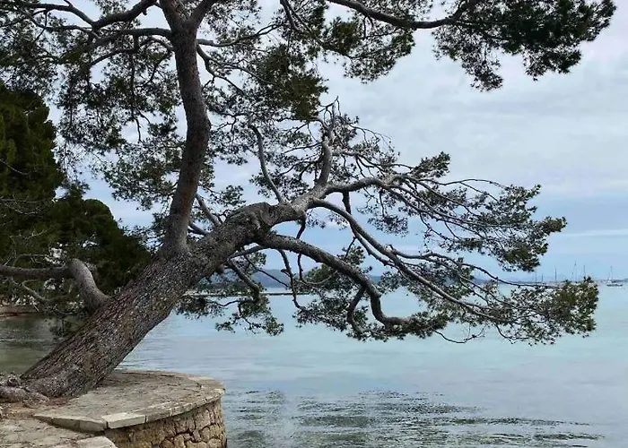 Bellesguard Penthouse