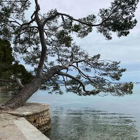 Bellesguard Penthouse